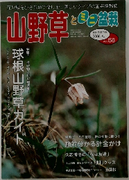山野草とミニ盆栽　2006 秋  VOL. 58