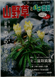 山野草とミニ盆栽　2006夏　Vol.57