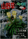 山野草とミニ盆栽　2006夏　Vol.57