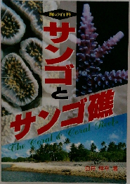 サンゴとサンゴ礁