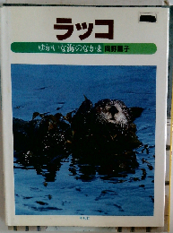 ラッコ