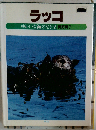 ラッコ