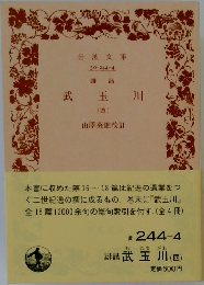 武玉川 (四)