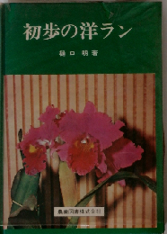 初歩の洋ラン