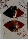 呪術廻戦 同人誌 No 42 禪院直哉