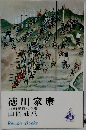 徳川家康　14 明星瞬くの巻