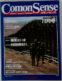 Comon　Sense　1984年11月