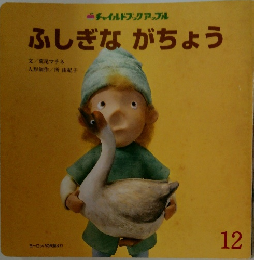 ふしぎながちょう　12