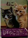 日本ねこ