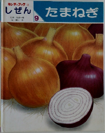 しぜん　9　たまねぎ