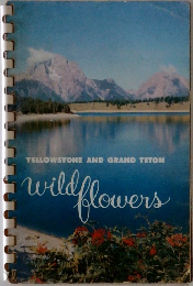YELLOWSTONE AND GRAND TETON wild flowers