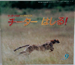 チーターはしる!　9