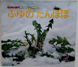 サンチャピングサイエンスふゆのたんぽぽ