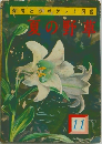 夏の野草　11
