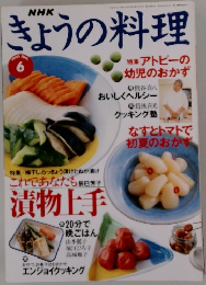 NHKきょうの料理6　1995