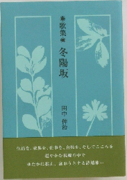  歌集 冬陽坂