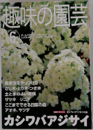 NHK趣味の園芸　2001年6月号