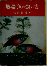 熱帯魚の飼い方