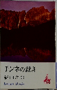 チンネの裁き