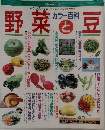 カラー百科 野菜と豆　