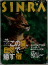 SINRA　1998年7月