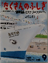 たくさんのふしぎ　2004年9月号　