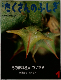 たくさんのふしぎ　2005年1月