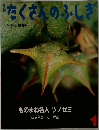 たくさんのふしぎ　2005年1月