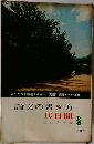 論文の書き方  10日間