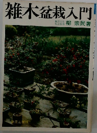 雑木盆栽入門