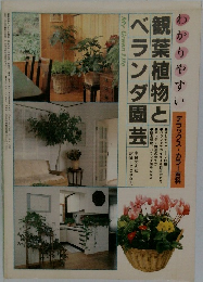 観葉植物とベランダ園芸