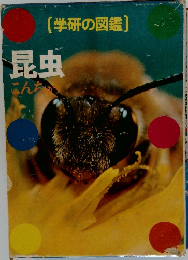 昆虫