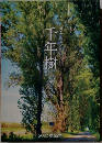 千年樹　2022 第92号