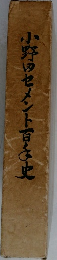 小野田セメント百年史