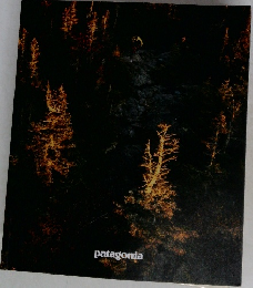 patagonia