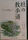 杜の散歩道