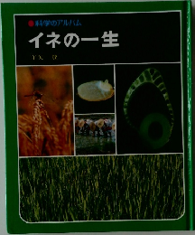 科学のアルバム  イネの一生