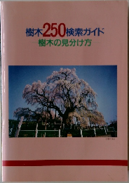 樹木250検索ガイド　樹木の見分け方