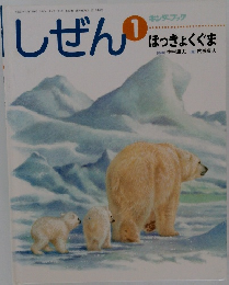 しぜん 1　ほっきょくぐま
