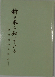 楠の木は知っている