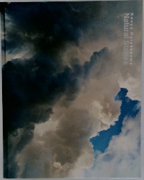 Natural Stories Naoya Hatakeyama