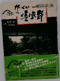 なぜか嵯峨野