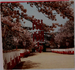 醍醐寺　写真集