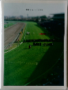 東京サラブレッドクラブ 2007