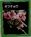 科学のアルバム　ギフチョウ