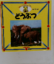 どうぶつ