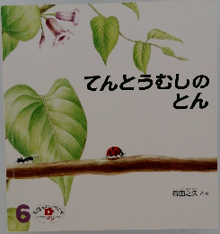 てんとうむしのとん
