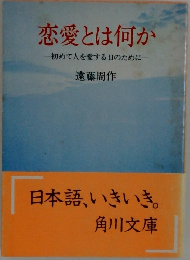 恋愛とは何か　初めて人を愛する日のために
