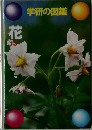 学研の図鑑　花