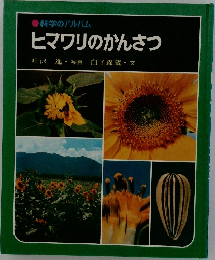 ヒマワリのかんさつ叶沢進・写真白子森蔵・文